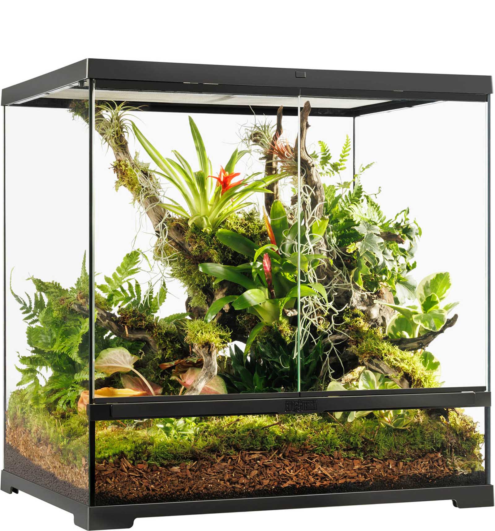 Terrariums
