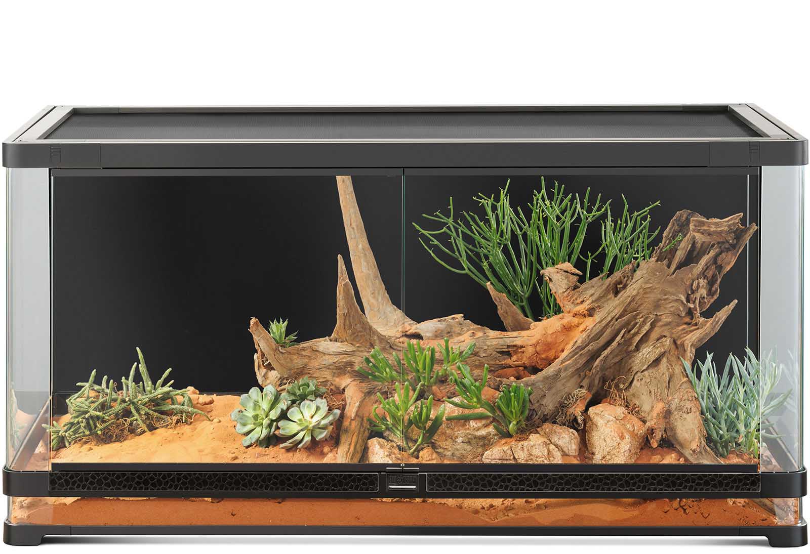 Terrariums