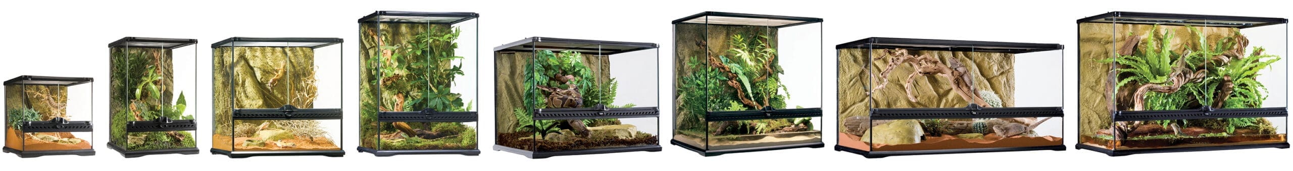 Natural Terrariums