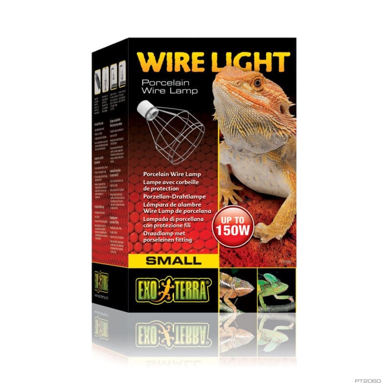 Wire Light Small