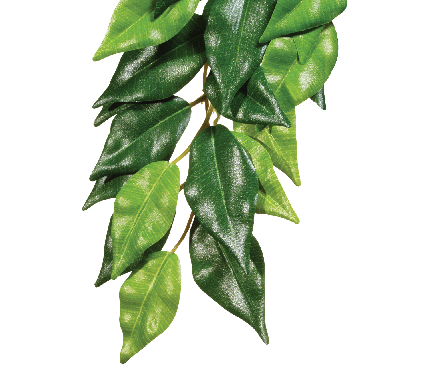 Decoration