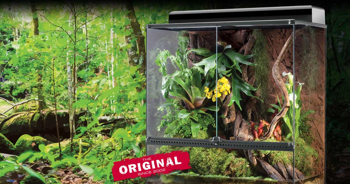 Why use a natural terrarium setup?