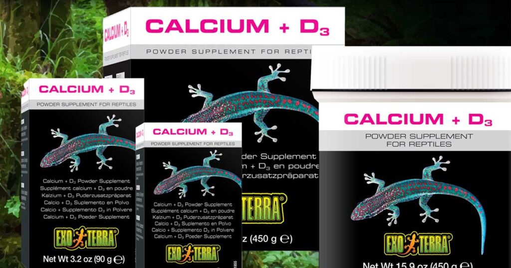 Supplements: a crucial food component