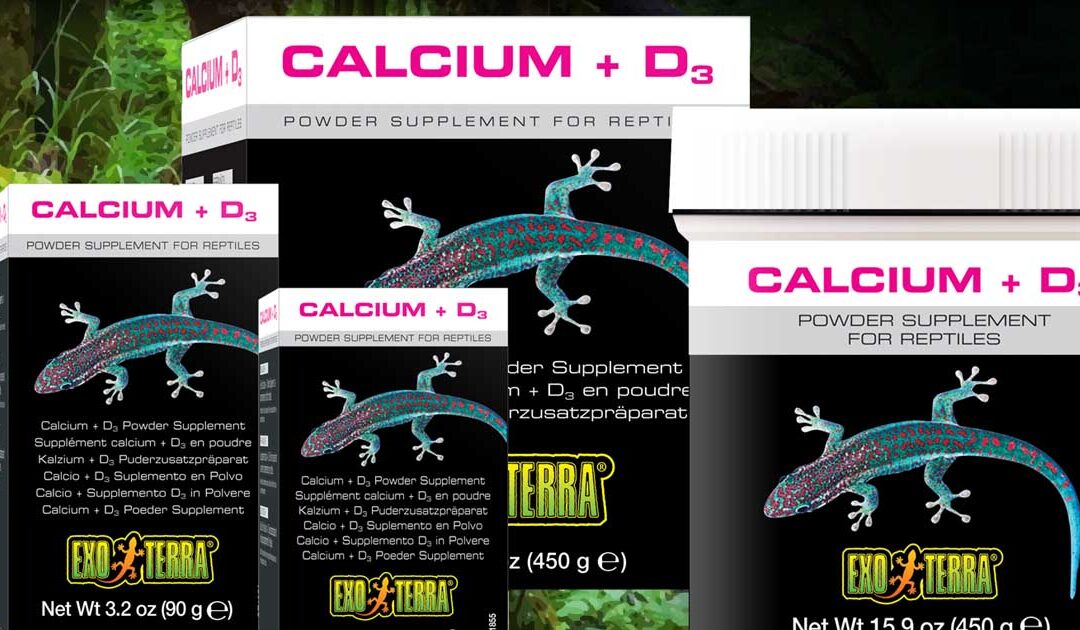 Supplements: a crucial food component