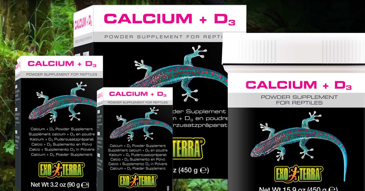Supplements: a crucial food component