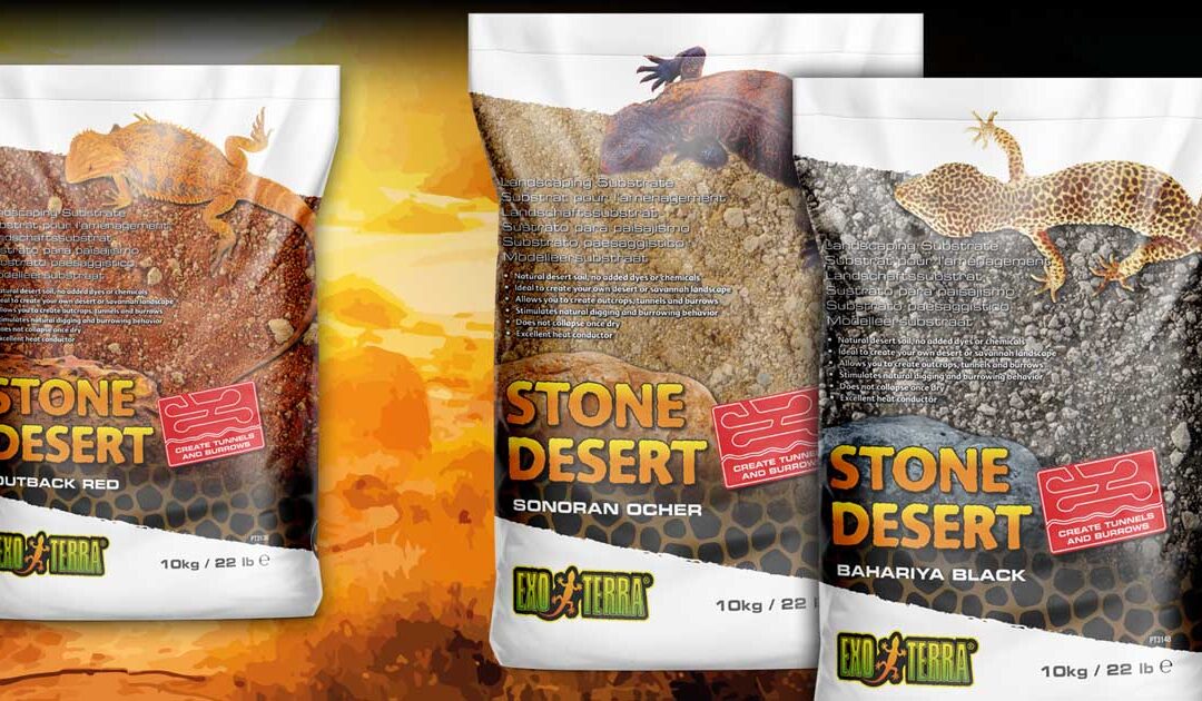 Stone Desert