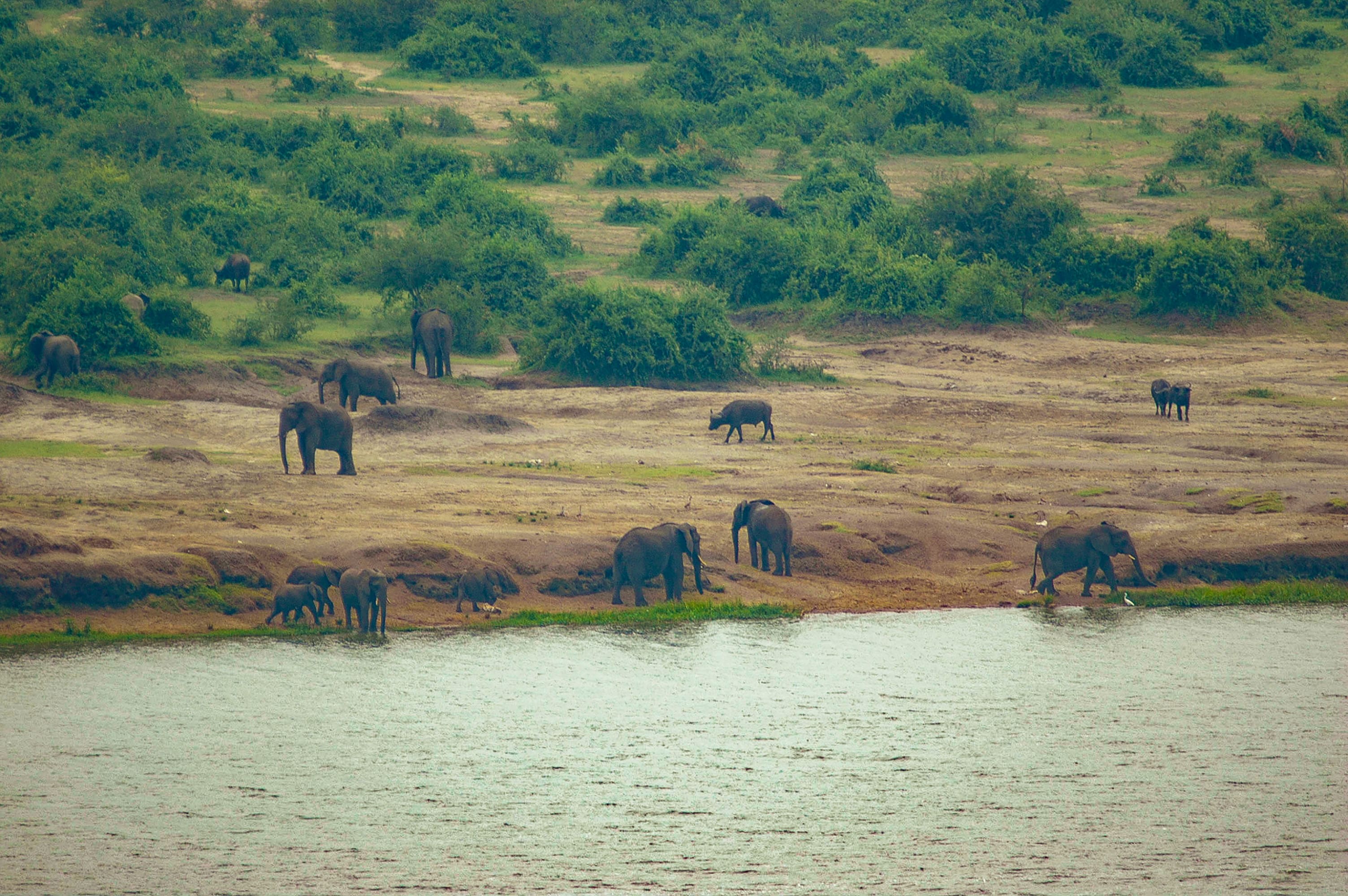 Journey through Queen Elisabeth NP