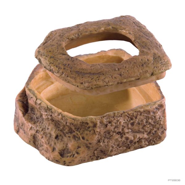 Buffalo Worm Dish