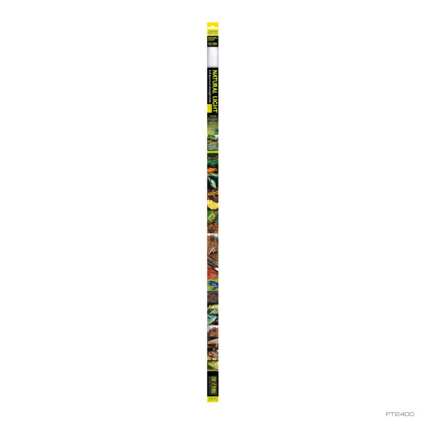Natural Light Linear 38W