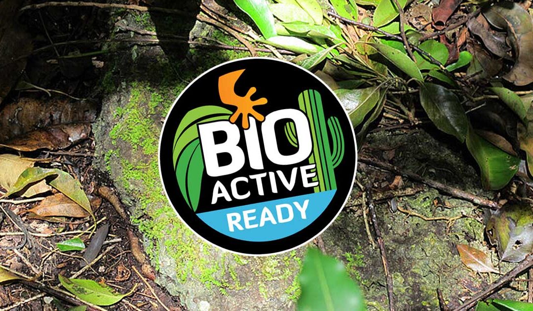 Bioactivo